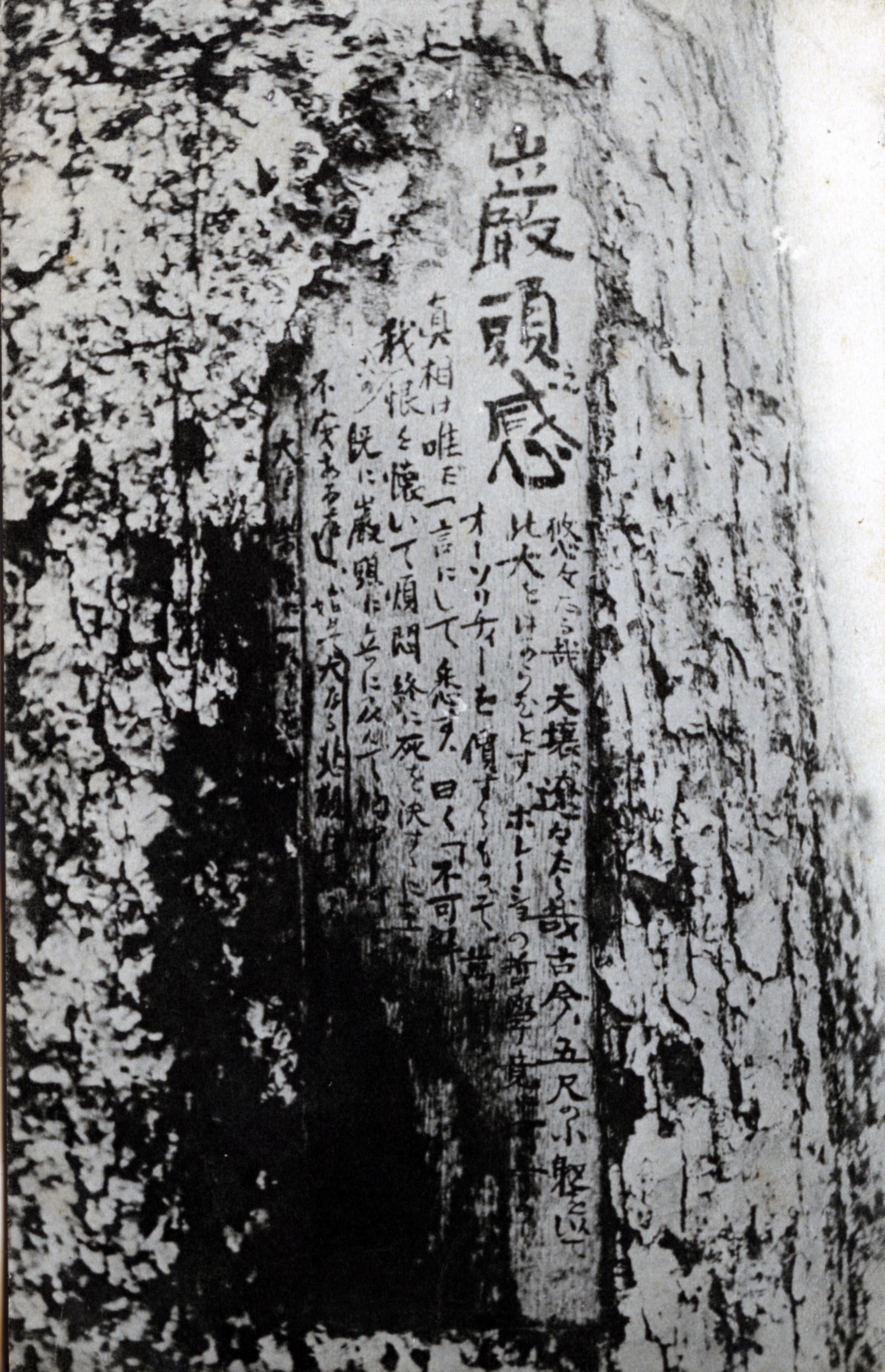 絵葉書