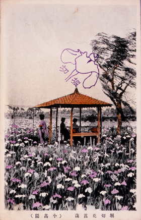 絵葉書