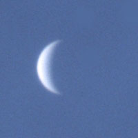 金星（1996年7月19日）