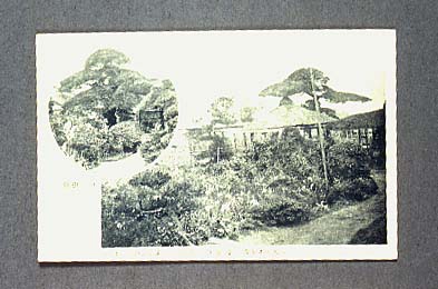 絵葉書