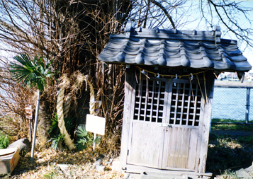 写真