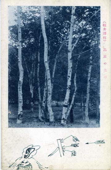 絵葉書