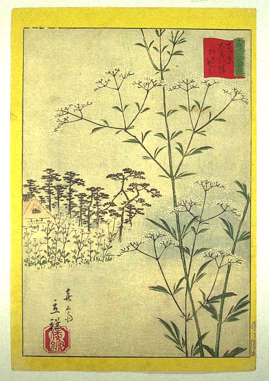 浮世絵