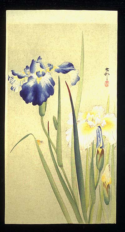 浮世絵