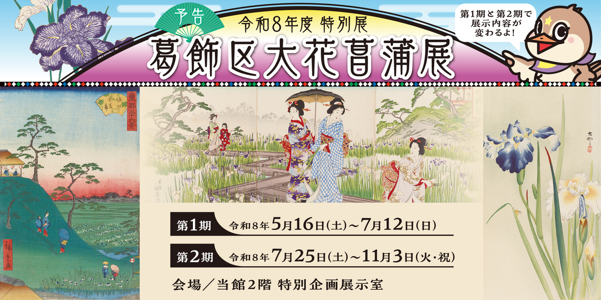 令和8年度　特別展「葛飾区大花菖蒲展」 （予告）