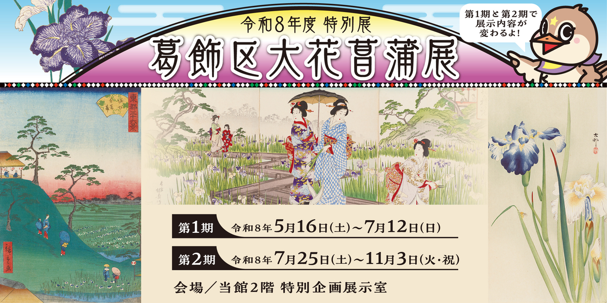 令和8年度　特別展「葛飾区大花菖蒲展」 （開催中）