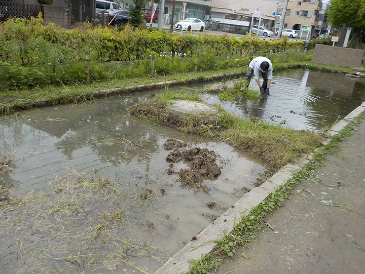 5月16日　田おこしの様子