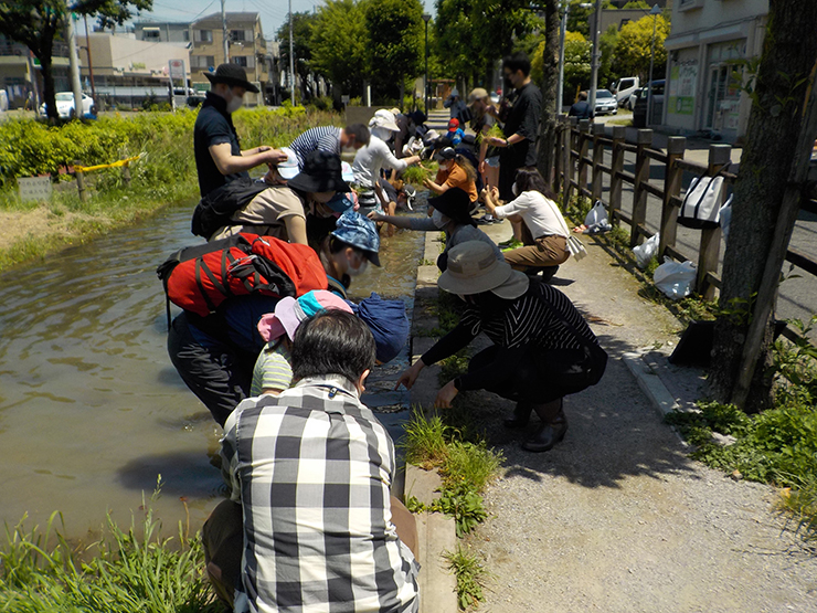 220617_blog-60_kometsukuri-taue_05.jpg