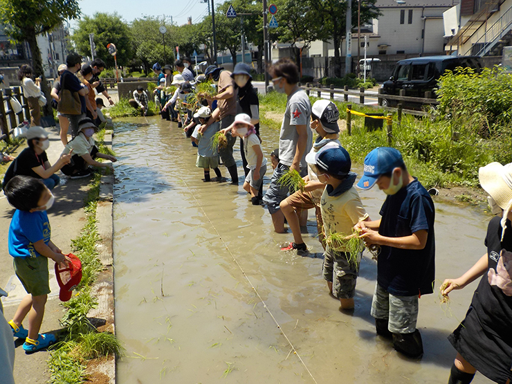 220617_blog-60_kometsukuri-taue_06.jpg