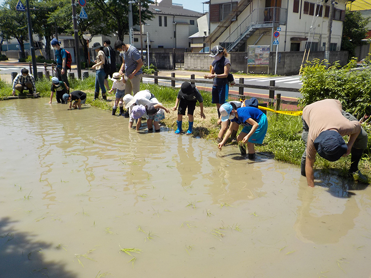 220617_blog-60_kometsukuri-taue_07.jpg