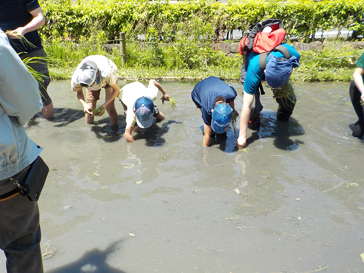 220617_blog-60_kometsukuri-taue_08.jpg