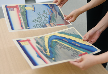 特別展「葛飾区大花菖蒲展」 | 展示 | 葛飾区郷土と天文の博物館